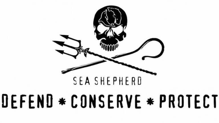 Sea Shepherd - LaSemo